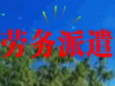 (lin)_籣˾