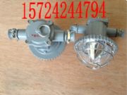 DGS18/127L18WA18WL(zhng)