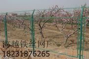 @FzW(wng)ɽW(wng)؇ھW(wng)(D)