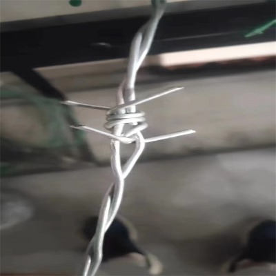 ӱ\XϽKSҹ(yng)KȦɽF޼ϾȦ؎FzW(wng)