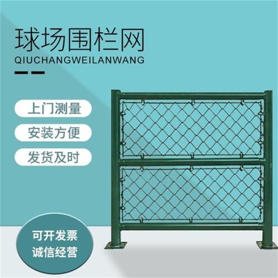 ӱ\FzW(wng)Sҹ(yng)Sw(chng)̌Go(h)W(wng)
