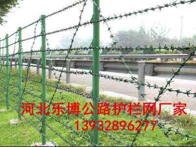 ɽ|䓽zW(wng)2.5״50L(zhng)SҬF(xin)؛(yng)