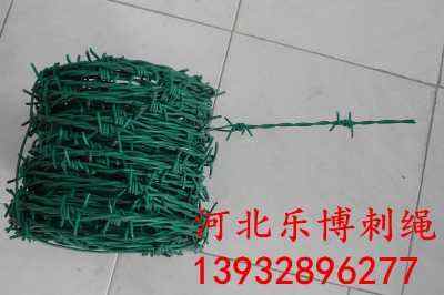 ɽ|̾W(wng)2.5״50L(zhng)SҬF(xin)؛(yng)