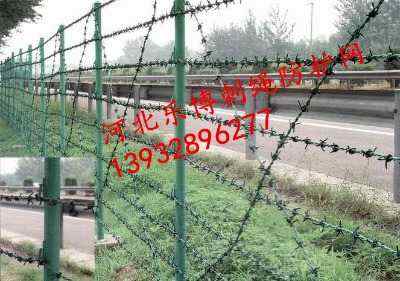 ɽ|F޼FzW(wng)2.5״50LSҬF(xin)؛