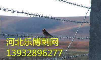 ɽ|̾Fz2.5״50L(zhng)SҬF(xin)؛(yng)