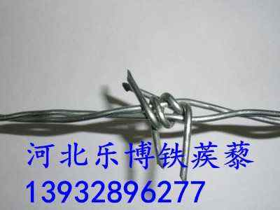 ƽKS(chng)ҬF(xin)؛\FzF޼FzW(wng)