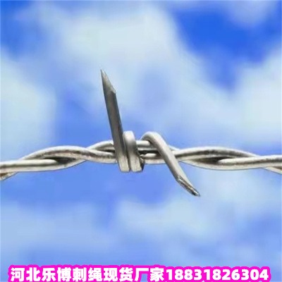 \KS(chng) |·̾W(wng) P䓴K