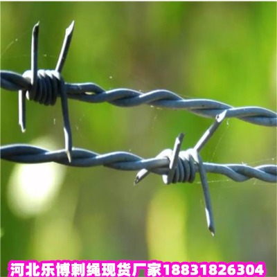|\KS 2.8׵·B(yng)oFzW(wng)