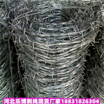 \KS8\䓽zW(wng)(l)F(xin)؛(yng)