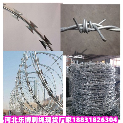 _(ti)\KS5(chng)شKژ(yng)
