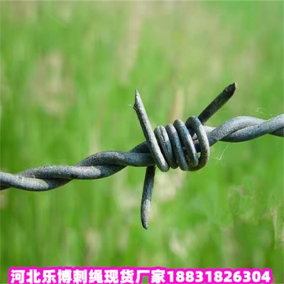 L\KS6\FzW(wng)F(xin)؛