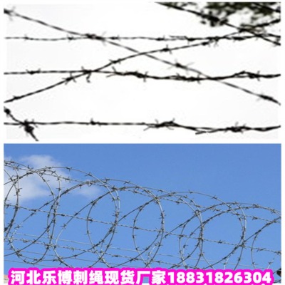 ľR\KS6شKژF(xin)؛(yng)