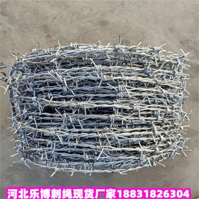 ͺ\KS6ﲻP䓴K(l)F(xin)؛(yng)