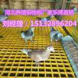 hB(yng)䓸䓘wSa