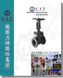 ߜظ߉ly||M(jn)ڸߜظ߉lyƷSr(ji)