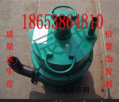 (yng)ïFQW70-30L(fng)(dng)ɳˮ
