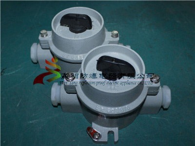 Aꖷsw-10_P(gun)
