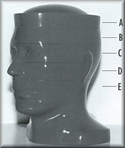RSDģwRadiology Support Devic