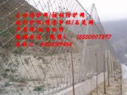 |б(dng)o(h)W(wng)S(chng)|б(dng)W(wng)X(qin)һƽ|