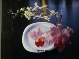 ӡC һC N|ӡˢ ¸ӡˢCе