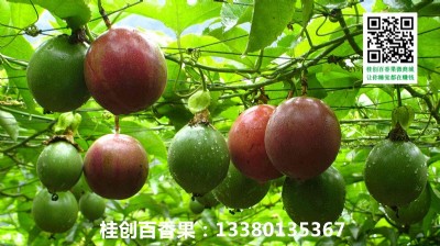 ϺϺl(f)rNVԽϰa(chn)