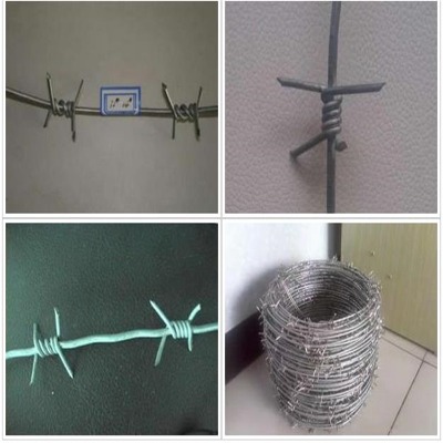 (l)PдFzW(wng)PFzW(wng)PF޼