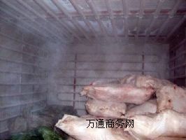 rʳŴكҺϷʢѩ
