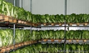 (zhun)I(y)ӆСͳ͜(k) r؎(k) Ģˮ(k)