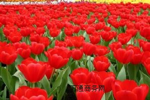 (yng)o(w)r(k)õ廨r(k)O(sh)S޹