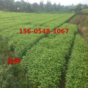 (yng)3ֶكr(ji)456ֶ٘
