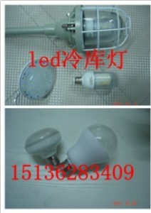 led픰b