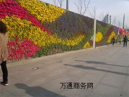 ƌW(xu)wGǰֱGO(sh)Ӌ(j)Gʩ