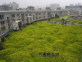 픻@e_G픾G
