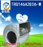 ̩JL(fng)C̖trg146a2e06-w