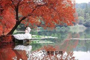 ʥzӰ⾰鼆Ո(bo)r鼆zӰ⾰]