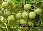 8518(yu)|(zh)磬޽Ӻ(D)