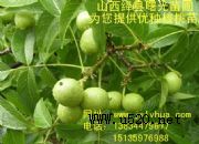 ƷN߮a(chn)(D)