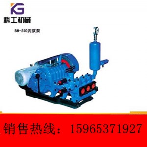 Lڹ(yng)BW-250{ܷ(wn)