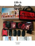 (yng)ABTronic X2ABAB