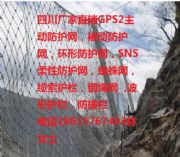Ĵ֦(ni)GPS2ӷoW(wng)Sҡ߅·oW(wng)rrʯW(wng)