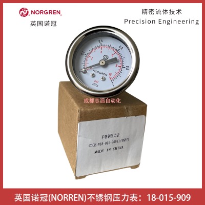 18-015-909Ӣ(gu)ZnorgrenP䓉