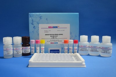 REAGENEALSEzyԇУ`șzy~r