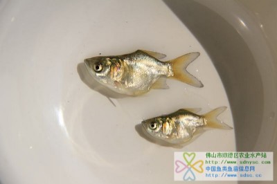 sǻ~sǴ^