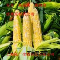 ձĠIB(yng)턩