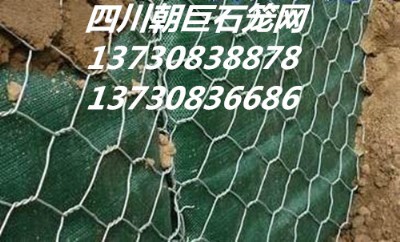 ʯ\W(wng)eW(wng)ߠʯ\W(wng)·o(h)W(wng)ӽˉ|l(f)