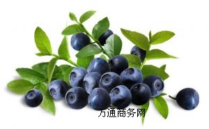 ԴF(xin)؛(yng)oӄɫȻ{(ln)ݮ֭