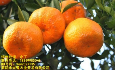 Ҋr񣬵Ҋl(f)Ҋc