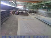 P235GHP295GH偠tһ