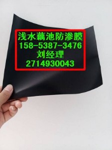 ػʍuӵBĤ400gɲһĤr