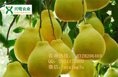 ޽ӣr